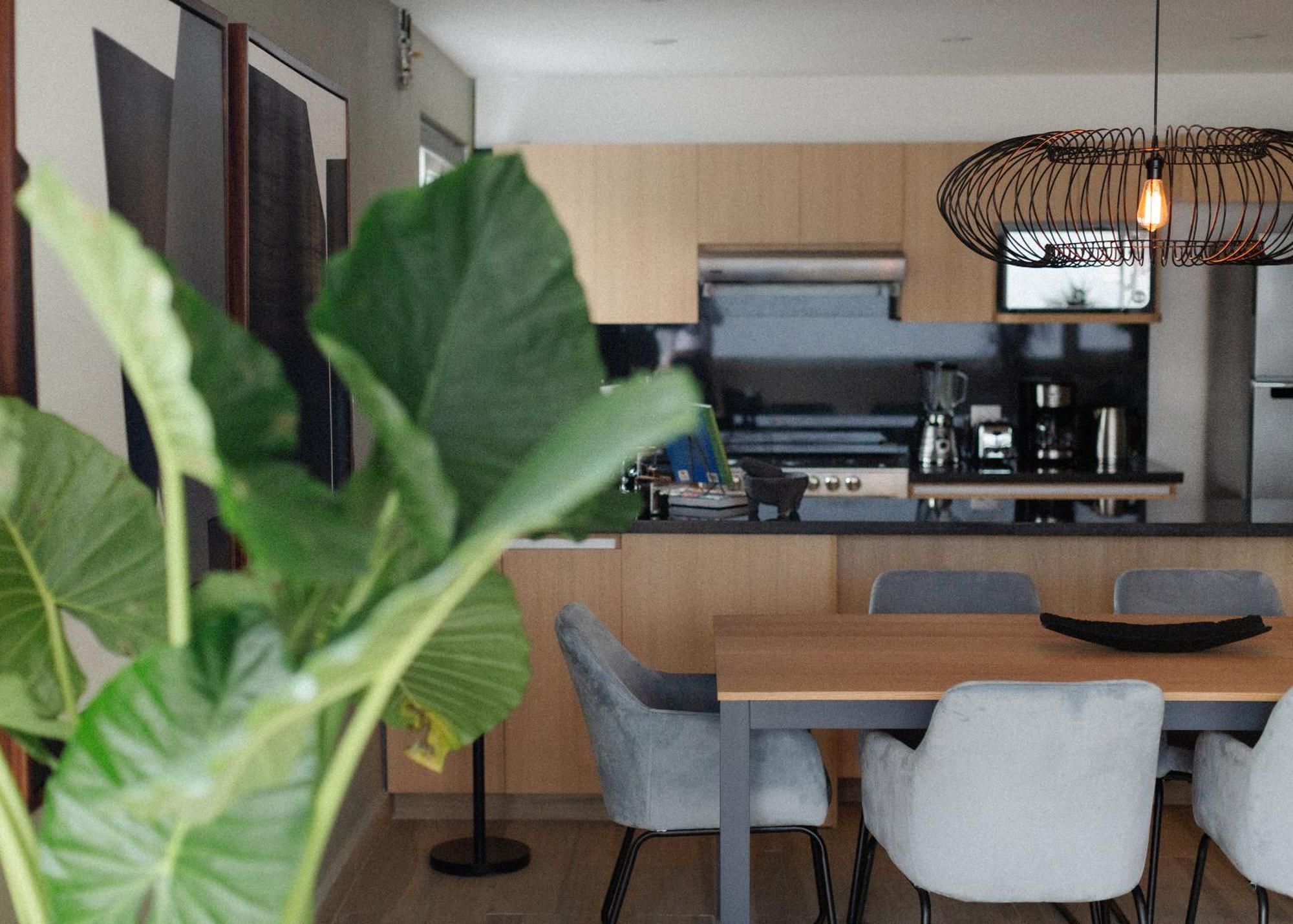 Elba By Mr W Apartment Mexico City Room photo